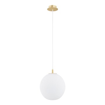Argon 8507 - Luster na sajli PALOMA 1xE27/15W/230V pr. 25 cm zlatna/beli