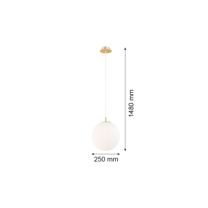Argon 8507 - Luster na sajli PALOMA 1xE27/15W/230V pr. 25 cm zlatna/beli
