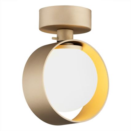 Argon 8567 - Zidna lampa za kupatilo MASSIMO PLUS 1xG9/6W/230V IP44 zlatna