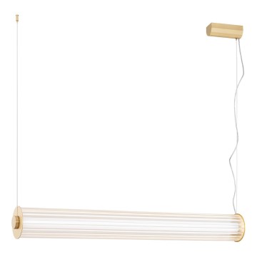 Argon 8627 - LED luster na sajli HAMPTON LED/60W/230V 3000K 80 cm mesing