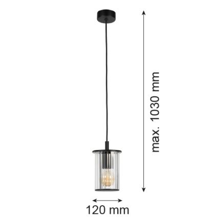 Argon 8751 - Spoljašnji luster na sajli NORFOLK 1xE27/15W/230V IP44 crno