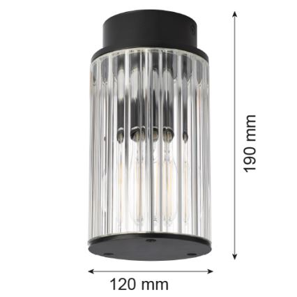Argon 8773 - Spoljašnja plafonjera NORFOLK 1xE27/15W/230V IP44 crno
