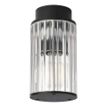 Argon 8773 - Spoljno plafonsko svetlo NORFOLK 1xE27/15W/230V IP44 crna
