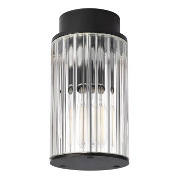 Argon 8773 - Spoljno plafonsko svetlo NORFOLK 1xE27/15W/230V IP44 crna