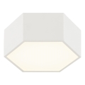 Argon 8781 - LED Plafonjera LIBERO LED/12W/230V 3000K bela