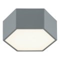 Argon 8784 - LED Plafonjera LIBERO LED/12W/230V 3000K sivo