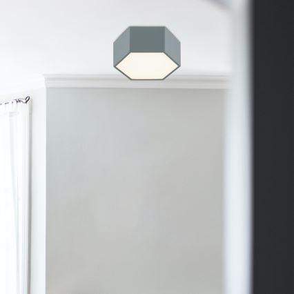 Argon 8784 - LED Plafonjera LIBERO LED/12W/230V 3000K sivo