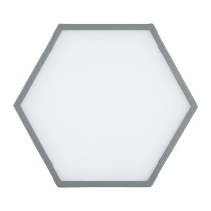 Argon 8784 - LED Plafonjera LIBERO LED/12W/230V 3000K sivo