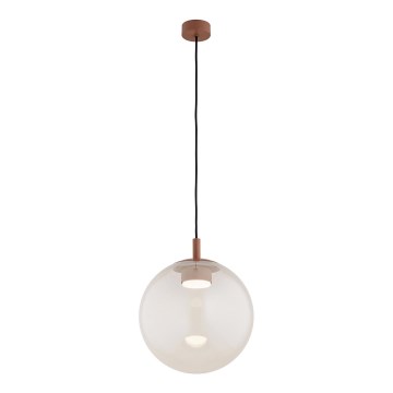 Argon 8829 - Luster na sajli SACRAMENTO 1xGX53/8W/230V prozirna/braon