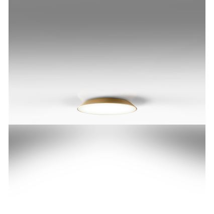 Artemide AR 0241320A - LED plafonsko svetlo FEBE 4xLED/30W/230V