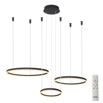 Azzardo AZ4972 - LED Prigušivi luster na sajli HALO LED/120W/230V crno + Daljinski upravljač