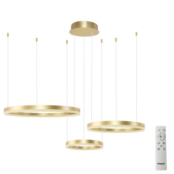 Azzardo AZ4973 - LED Prigušivi luster na sajli HALO LED/120W/230V zlatna + Daljinski upravljač