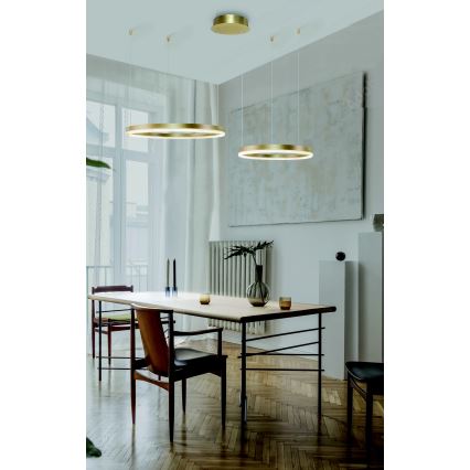 Azzardo AZ4979 - LED Prigušivi luster na sajli HALO LED/90W/230V zlatna + Daljinski upravljač