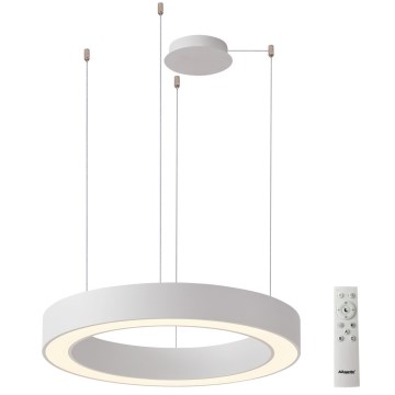 Azzardo AZ5052 - LED Prigušivi luster na sajli MARCO LED/100W/230V bela + Daljinski upravljač