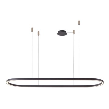 Azzardo AZ5055 - LED Prigušivi luster na sajli ELENA LED/50W/230V 120 cm crno