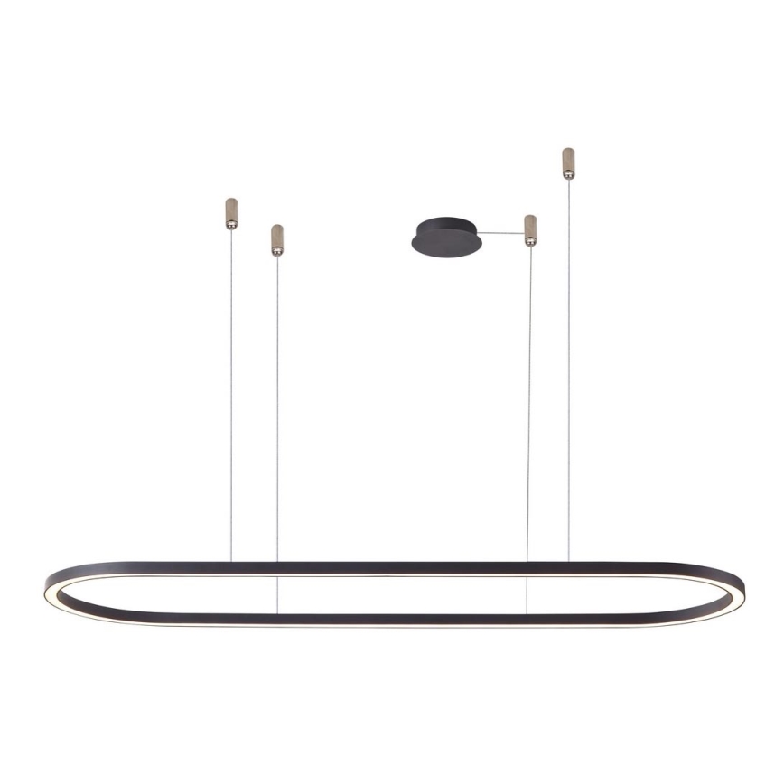 Azzardo AZ5055 - LED Prigušivi luster na sajli ELENA LED/50W/230V 120 cm crno