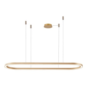 Azzardo AZ5056 - LED Prigušivi luster na sajli ELENA LED/50W/230V 120 cm zlatna
