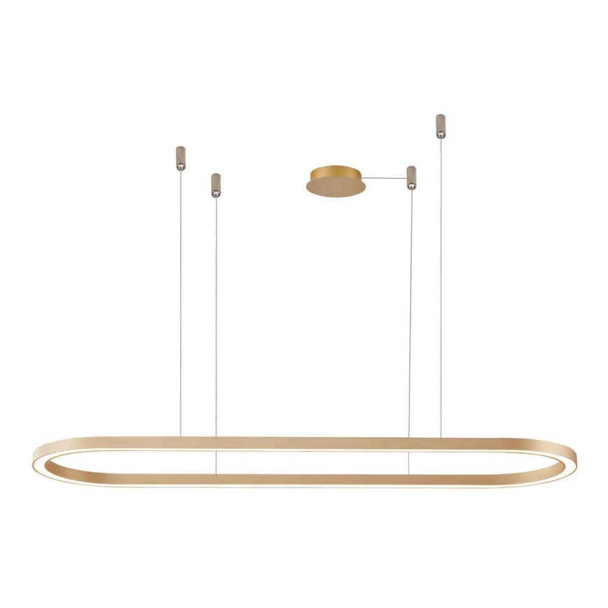 Azzardo AZ5056 - LED Prigušivi luster na sajli ELENA LED/50W/230V 120 cm zlatna