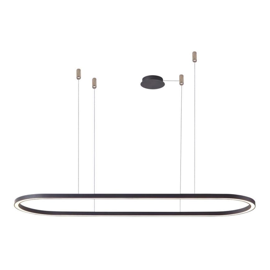 Azzardo AZ5057 - LED Prigušivi luster na sajli ELENA LED/60W/230V 150 cm crno