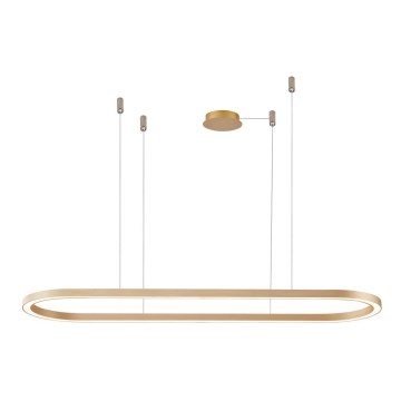 Azzardo AZ5058 - LED Prigušivi luster na sajli ELENA LED/60W/230V 150 cm zlatna