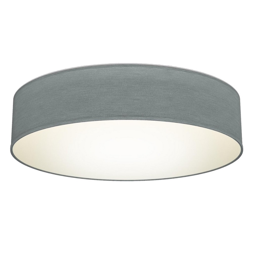 B.K. Licht 1393 - LED Plafonjera LED/20W/230V sivo