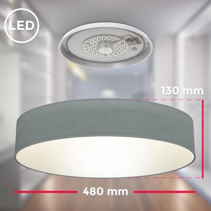 B.K. Licht 1393 - LED Plafonjera LED/20W/230V sivo