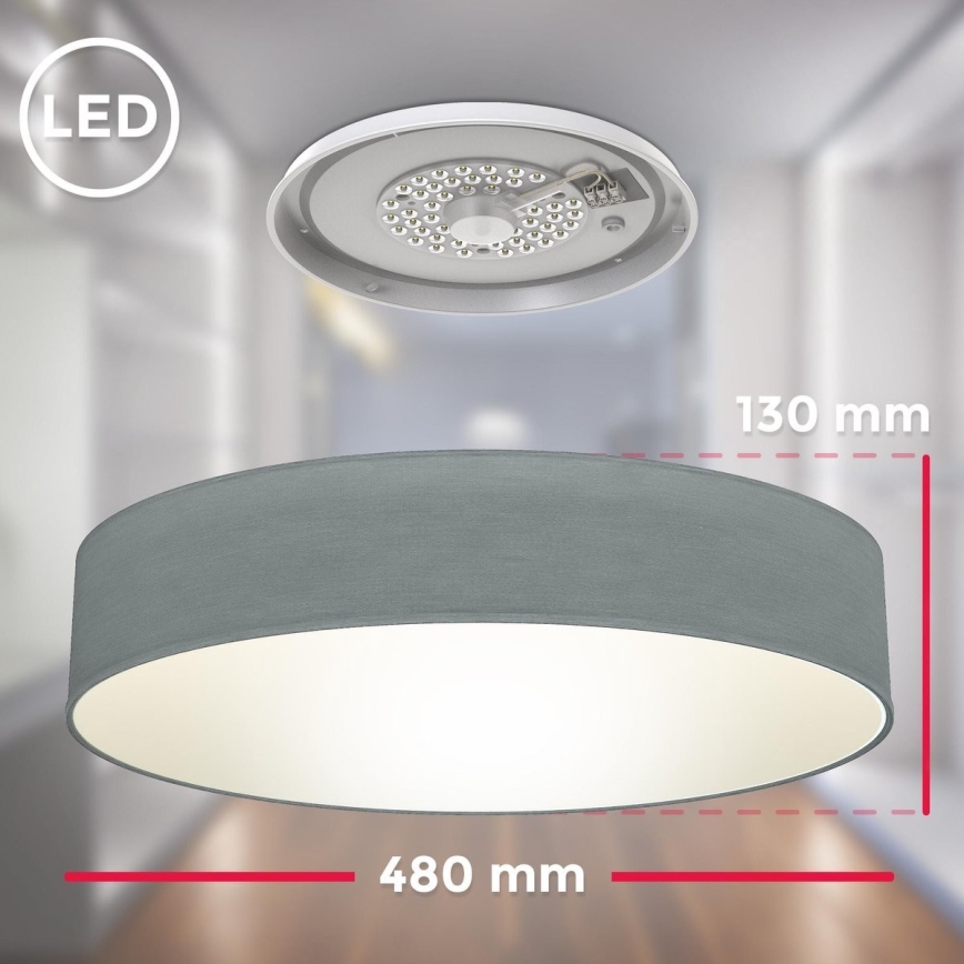 B.K. Licht 1393 - LED Plafonjera LED/20W/230V sivo