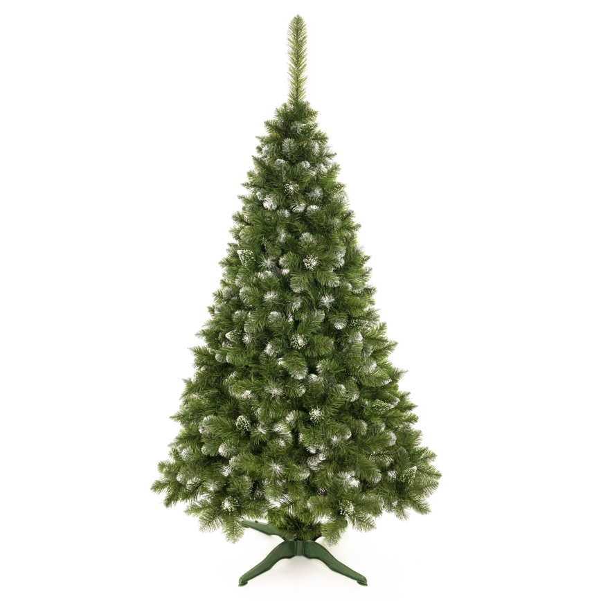 Božićna jelka 180 cm — bor