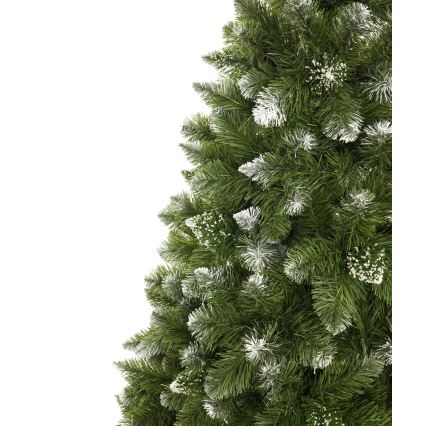 Božićna jelka 180 cm — bor