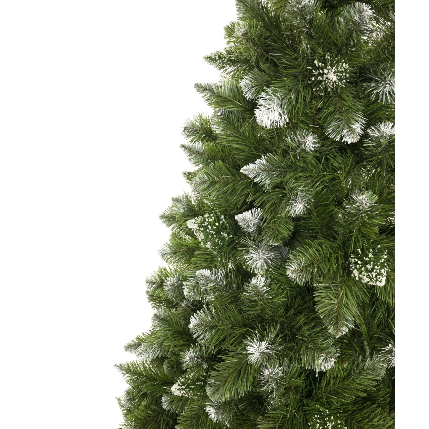 Božićna jelka 180 cm — bor