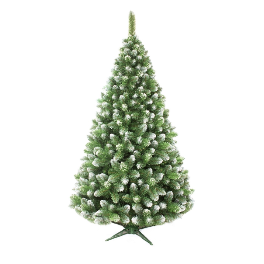 Božićna jelka 220 cm, bor