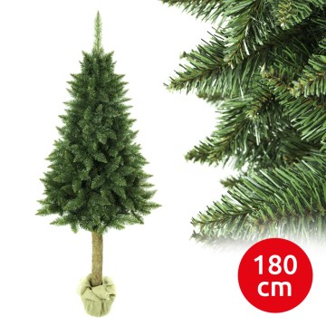 Božićna jelka na deblu 180 cm - jela