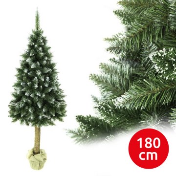 Božićna jelka na deblu 180 cm (jela)