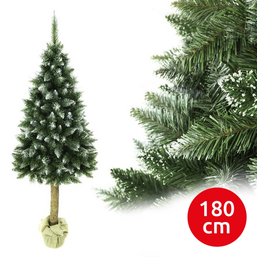 Božićna jelka na deblu 180 cm (jela)