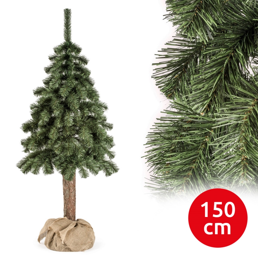 Božićna jelka NATURAL 150 cm od jele na panju