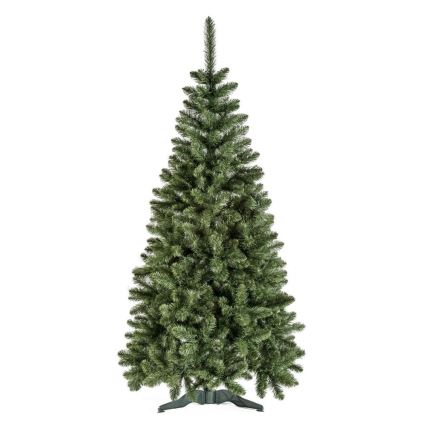 Božićna jelka POLA 250 cm bor