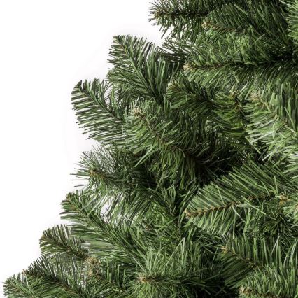 Božićna jelka POLA 250 cm bor