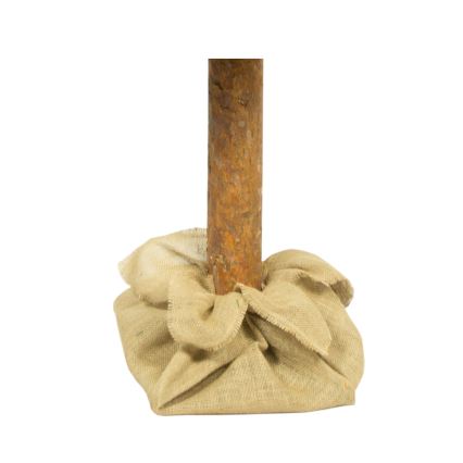 Božićna jelka sa deblom 180 cm, bor