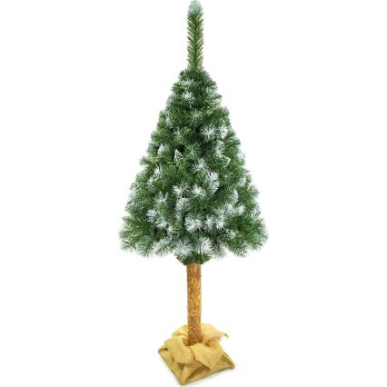 Božićno drvce na deblu 180 cm bor