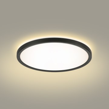 Brilagi - kupatilsko plafonsko LED svetlo ULTRA SLIM LED/12W/230V, prečnik 22,5 cm, crno, IP54