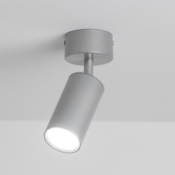 Brilagi - Kupatilsko spot svetlo SELE 1xGU10/30W/230V IP44 srebrno