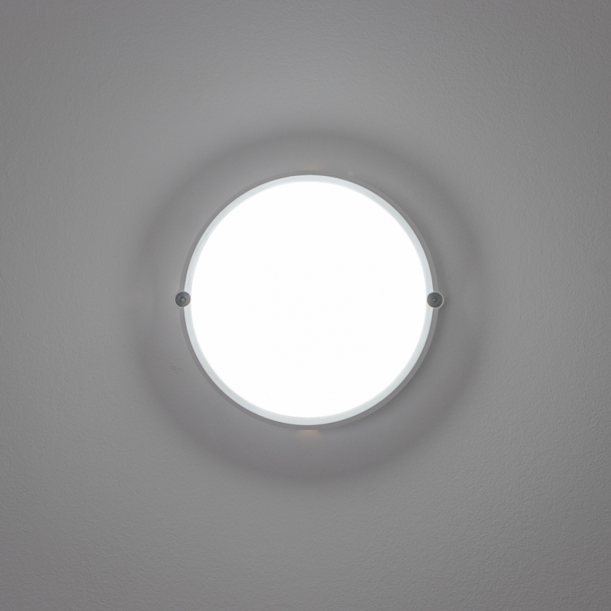 Brilagi - LED Industrijska plafonjera SIMA LED/12W/230V IP65 bela