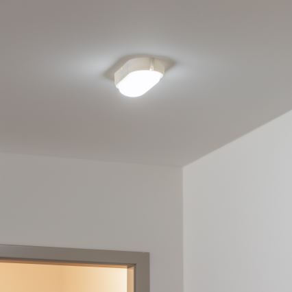 Brilagi - LED Industrijska plafonjera SIMA LED/12W/230V IP65 bela
