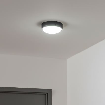 Brilagi - LED Industrijska plafonjera SIMA LED/12W/230V IP65 crno