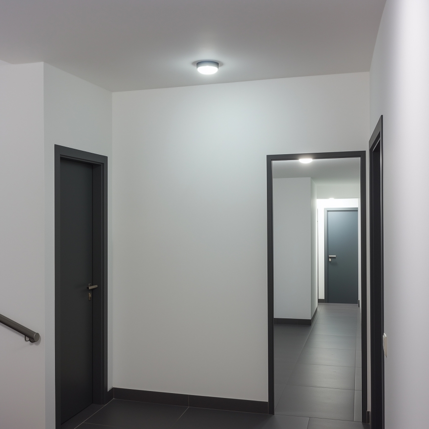 Brilagi - LED Industrijska plafonjera SIMA LED/12W/230V IP65 crno