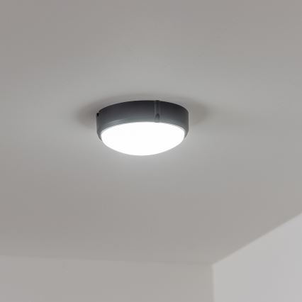 Brilagi - LED Industrijska plafonjera SIMA LED/12W/230V IP65 crno