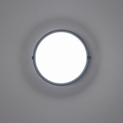 Brilagi - LED Industrijska plafonjera SIMA LED/12W/230V IP65 crno