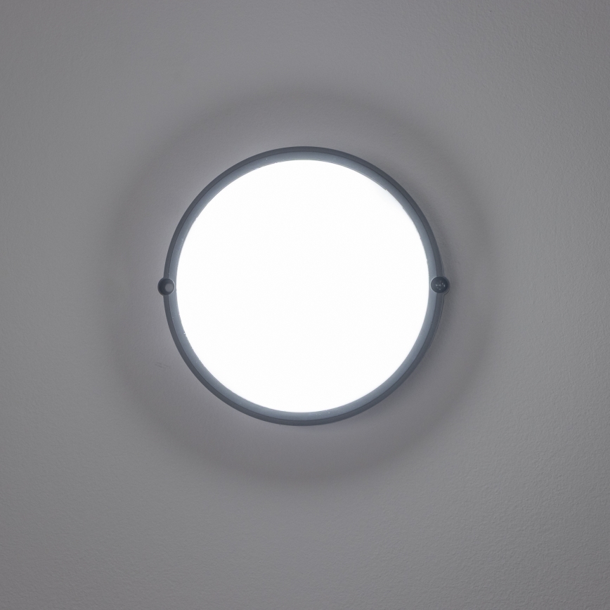 Brilagi - LED Industrijska plafonjera SIMA LED/12W/230V IP65 crno