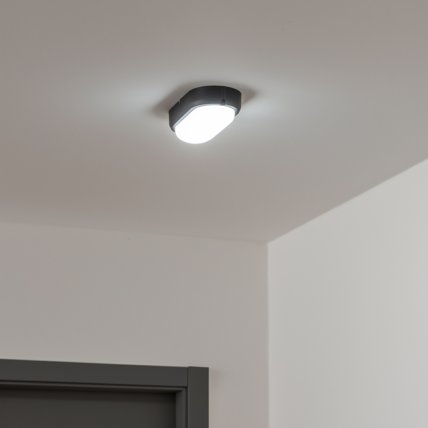 Brilagi - LED Industrijska plafonjera SIMA LED/12W/230V IP65 crno