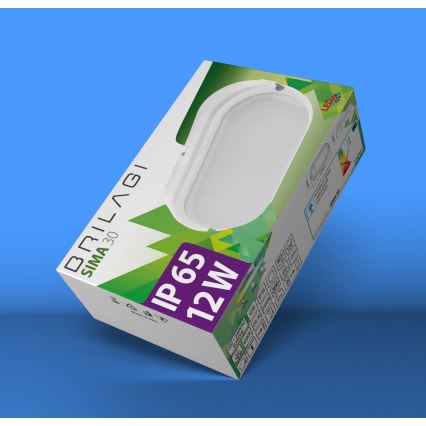 Brilagi - LED Industrijska plafonjera SIMA LED/12W/230V IP65 crno